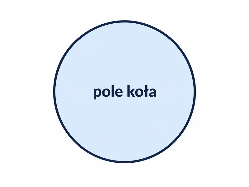 Jeden pełny okrągły fragment tkaniny z wyróżnioną całą powierzchnią i krótką etykietą pole koła.